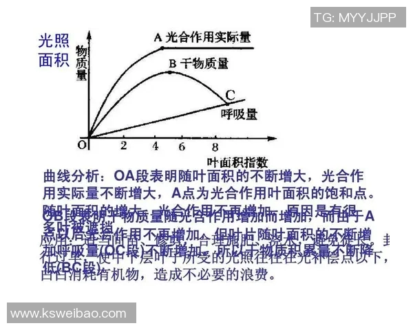 体育明星排名的标准与方法探讨以及影响因素分析