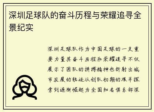 深圳足球队的奋斗历程与荣耀追寻全景纪实